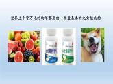 2024八年級科學(xué)下冊第2章微粒的模型與符號2.4組成物質(zhì)的元素課件（浙教版）