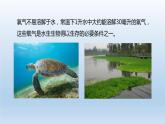 2024八年级科学下册第3章空气与生命3.1空气与氧气第2课时课件（浙教版）