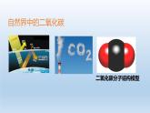 2024八年级科学下册第3章空气与生命3.4二氧化碳第1课时课件（浙教版）