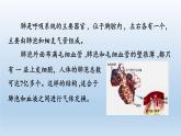 2024八年级科学下册第3章空气与生命3.5生物的呼吸和呼吸作用第1课时课件（浙教版）