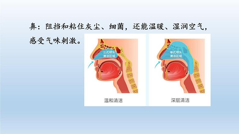 2024八年级科学下册第3章空气与生命3.5生物的呼吸和呼吸作用第1课时课件（浙教版）06