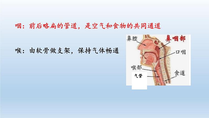 2024八年级科学下册第3章空气与生命3.5生物的呼吸和呼吸作用第1课时课件（浙教版）07