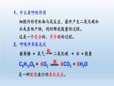 2024八年级科学下册第3章空气与生命3.5生物的呼吸和呼吸作用第2课时课件（浙教版）