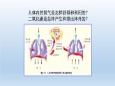 2024八年级科学下册第3章空气与生命3.5生物的呼吸和呼吸作用第2课时课件（浙教版）