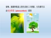 2024八年级科学下册第3章空气与生命3.6光合作用第1课时课件（浙教版）
