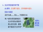 2024八年级科学下册第3章空气与生命3.6光合作用第1课时课件（浙教版）