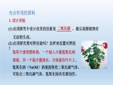 2024八年级科学下册第3章空气与生命3.6光合作用第2课时课件（浙教版）