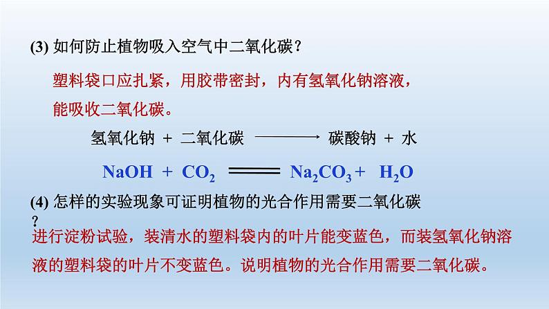 2024八年级科学下册第3章空气与生命3.6光合作用第2课时课件（浙教版）第4页