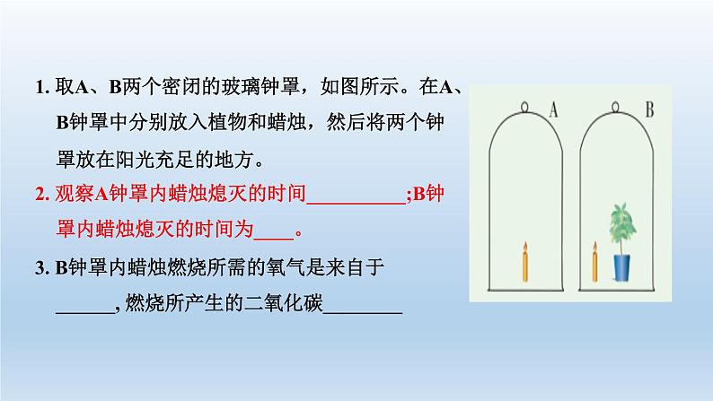 2024八年级科学下册第3章空气与生命3.7自然界中的氧循环和碳循环课件（浙教版）第2页