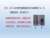 2024八年级科学下册第3章空气与生命3.7自然界中的氧循环和碳循环课件（浙教版）