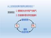 2024八年级科学下册第3章空气与生命3.7自然界中的氧循环和碳循环课件（浙教版）