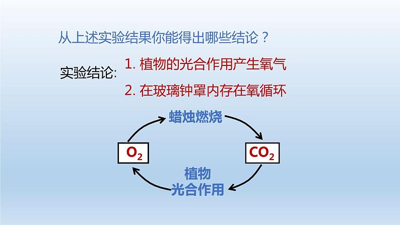 2024八年级科学下册第3章空气与生命3.7自然界中的氧循环和碳循环课件（浙教版）第5页