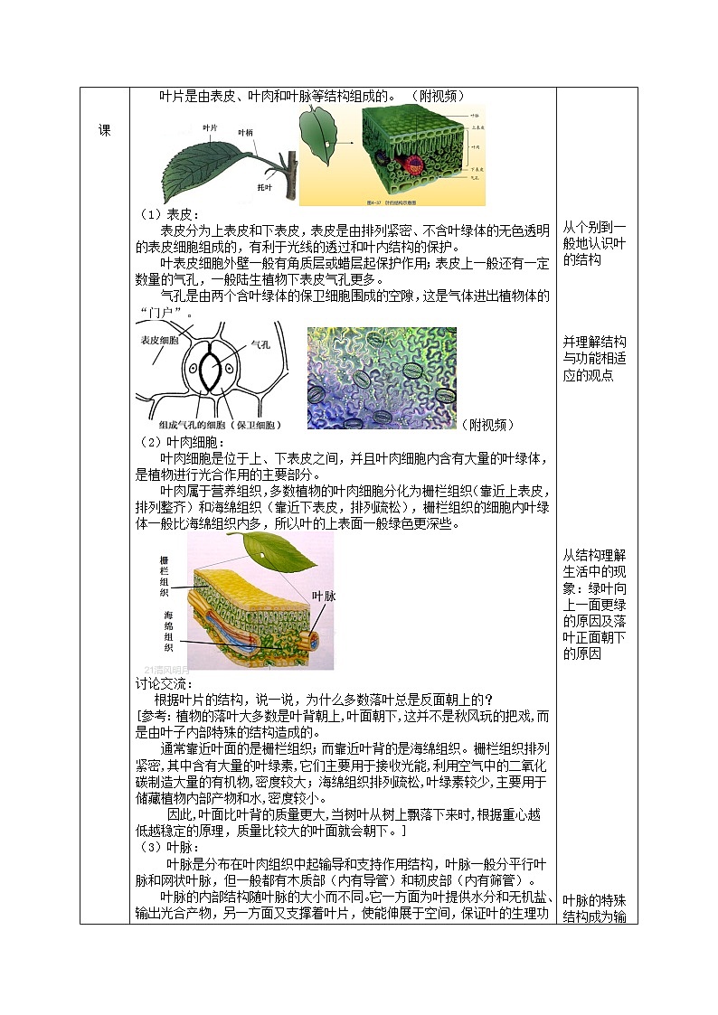 2024八年级科学下册第4章植物与土壤4.5植物的叶与蒸腾作用第1课时教学设计新版浙教版02