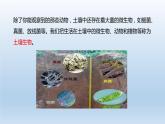 2024八年级科学下册第4章植物与土壤4.1土壤的成分课件新版浙教版