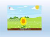 2024八年级科学下册第4章植物与土壤4.1土壤的成分课件新版浙教版