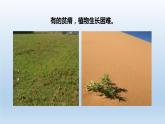 2024八年级科学下册第4章植物与土壤4.2各种各样的土壤课件新版浙教版