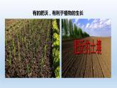 2024八年级科学下册第4章植物与土壤4.2各种各样的土壤课件新版浙教版