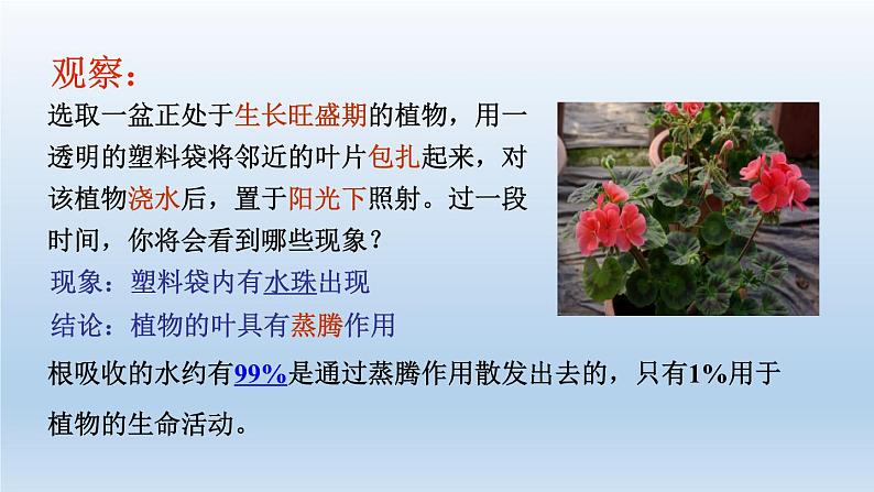 2024八年级科学下册第4章植物与土壤4.5植物的叶与蒸腾作用课件新版浙教版06