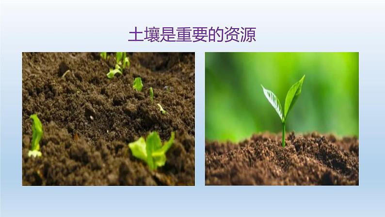 2024八年级科学下册第4章植物与土壤4.6保护土壤课件新版浙教版01