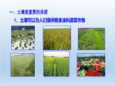 2024八年级科学下册第4章植物与土壤4.6保护土壤课件新版浙教版
