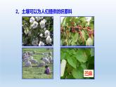 2024八年级科学下册第4章植物与土壤4.6保护土壤课件新版浙教版