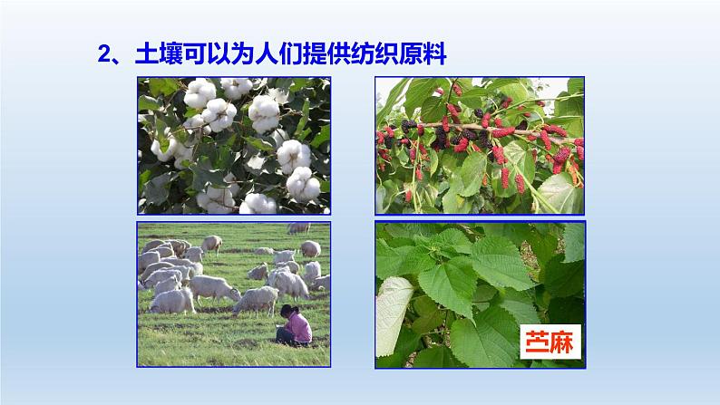 2024八年级科学下册第4章植物与土壤4.6保护土壤课件新版浙教版03