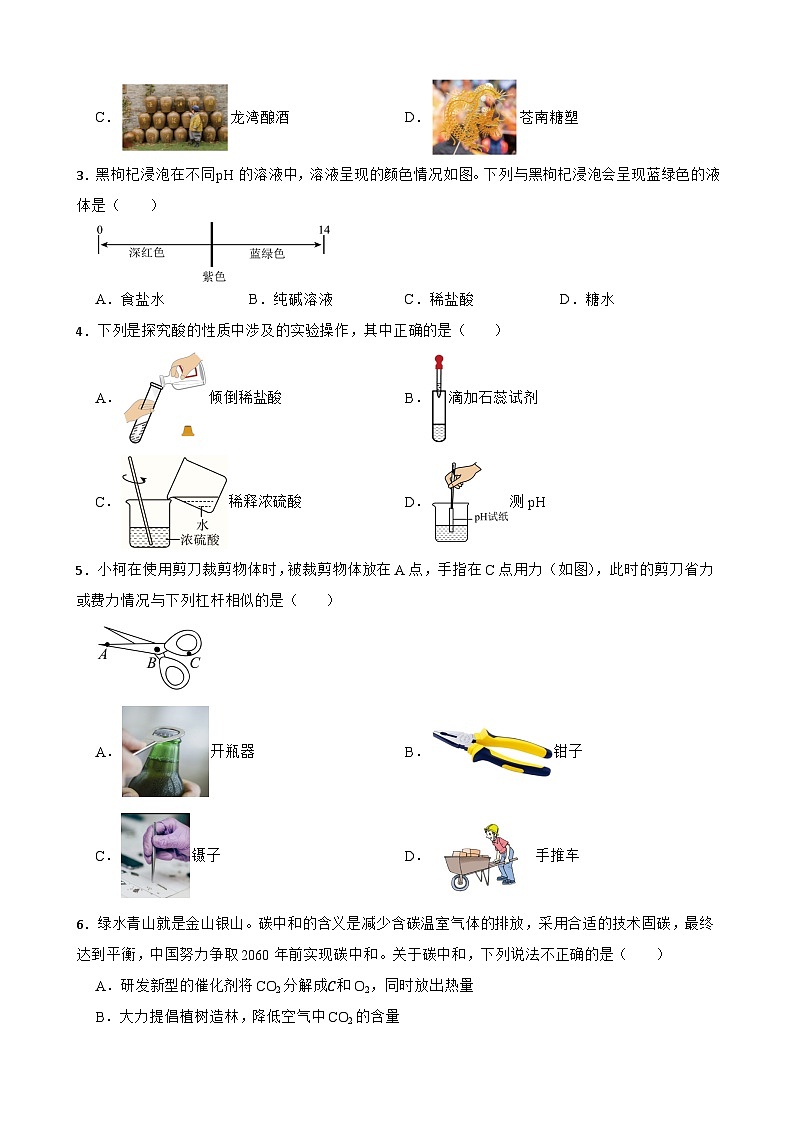 浙江省舟山市金衢山五校联盟2023-2024学年九年级上学期科学期中素养监测试卷第2页