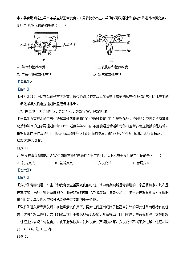 浙江省温州市实验中学2023-2024学年七年级下学期期中科学试题03