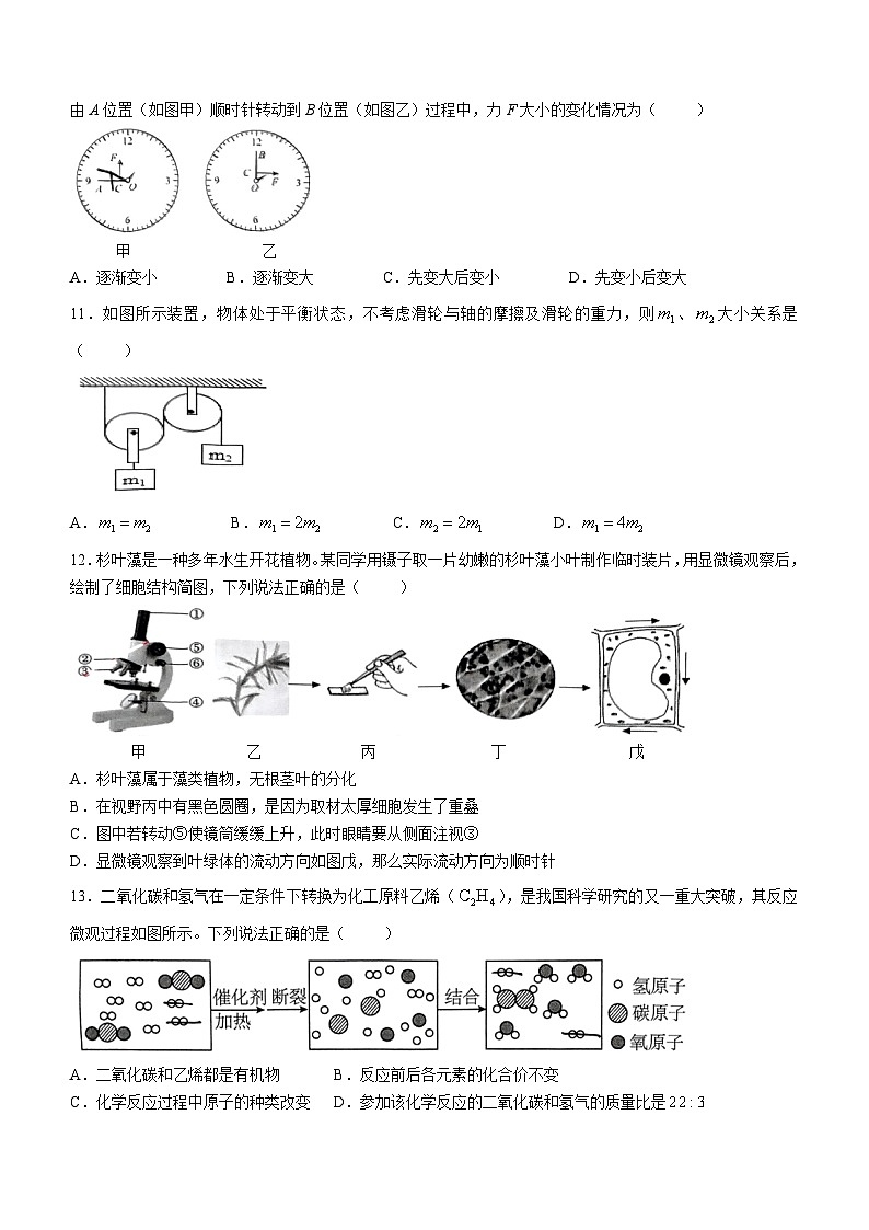 2024年浙江省台州市和合教育联盟九年级三模科学试卷第3页