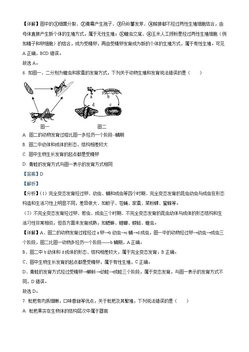 浙江省绍兴市柯桥区柯桥区联盟学校2023-2024学年七年级下学期4月月考科学试题03