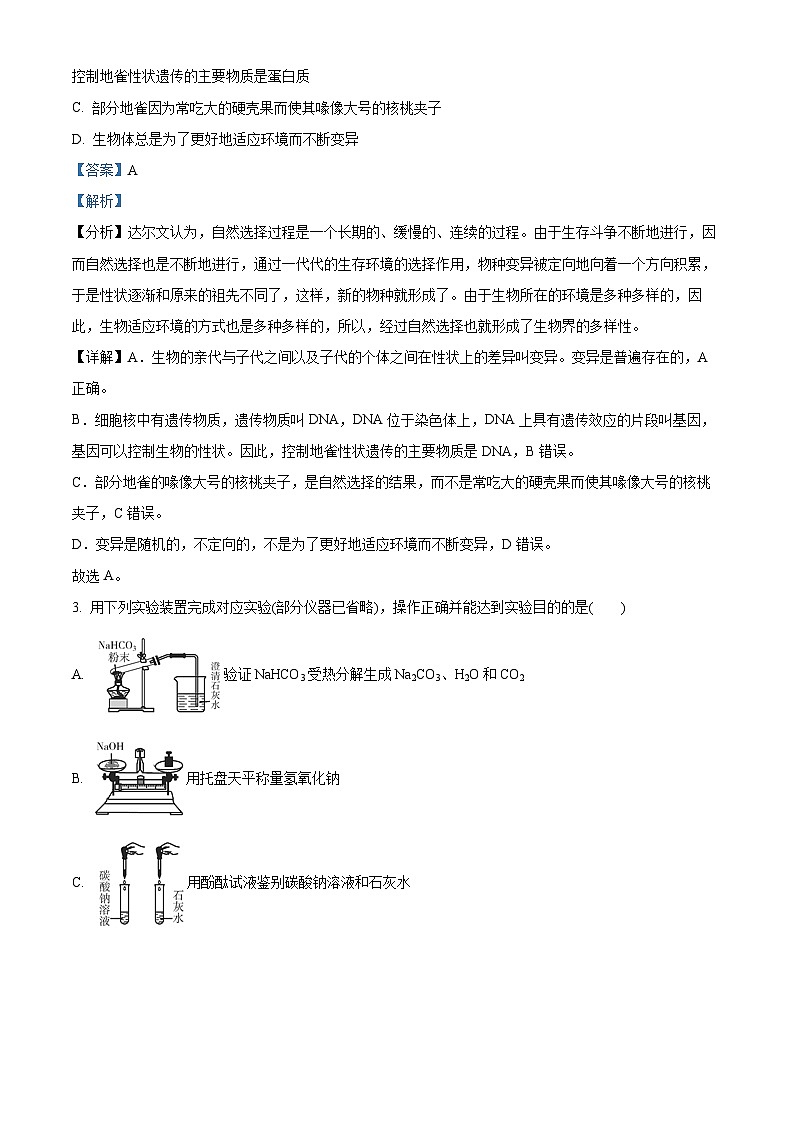 浙江省绍兴市柯桥区联盟学校2023-2024学年九年级下学期4月月考科学试题02