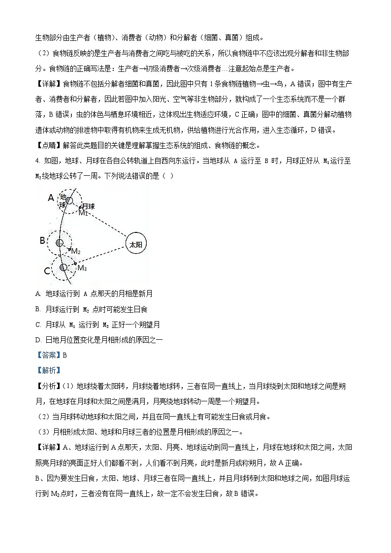 浙江省杭州观成实验学校2023-2024九年级下学期第三次模拟考科学试题03