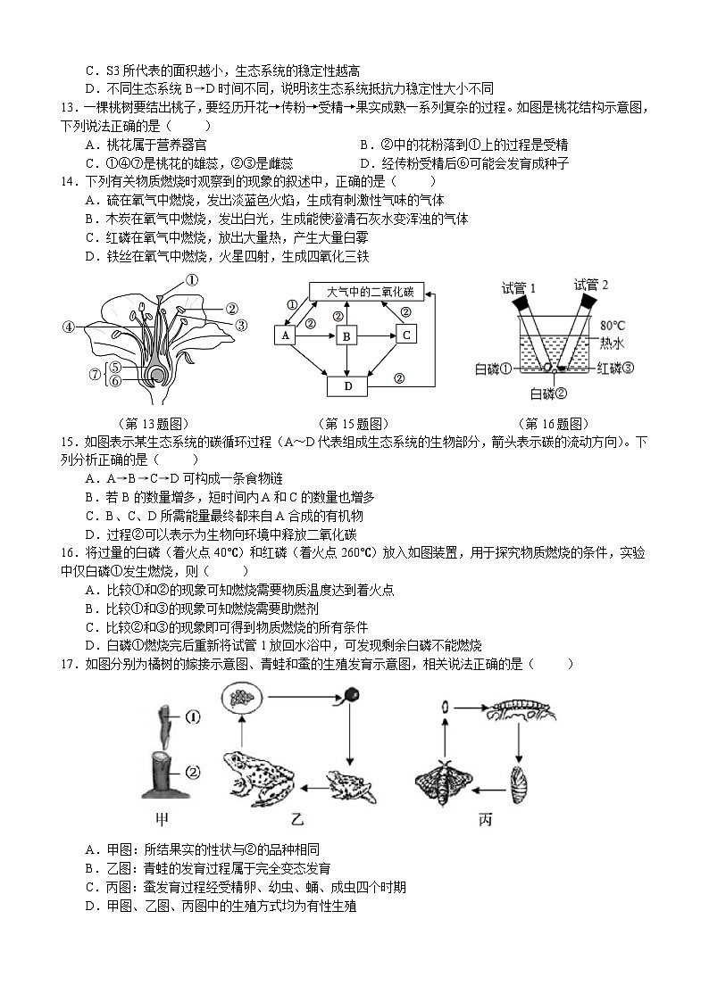 浙江省宁波市鄞州区宁波七中教育集团2023-2024学年第二学期七年级科学期末试题（含答案）03