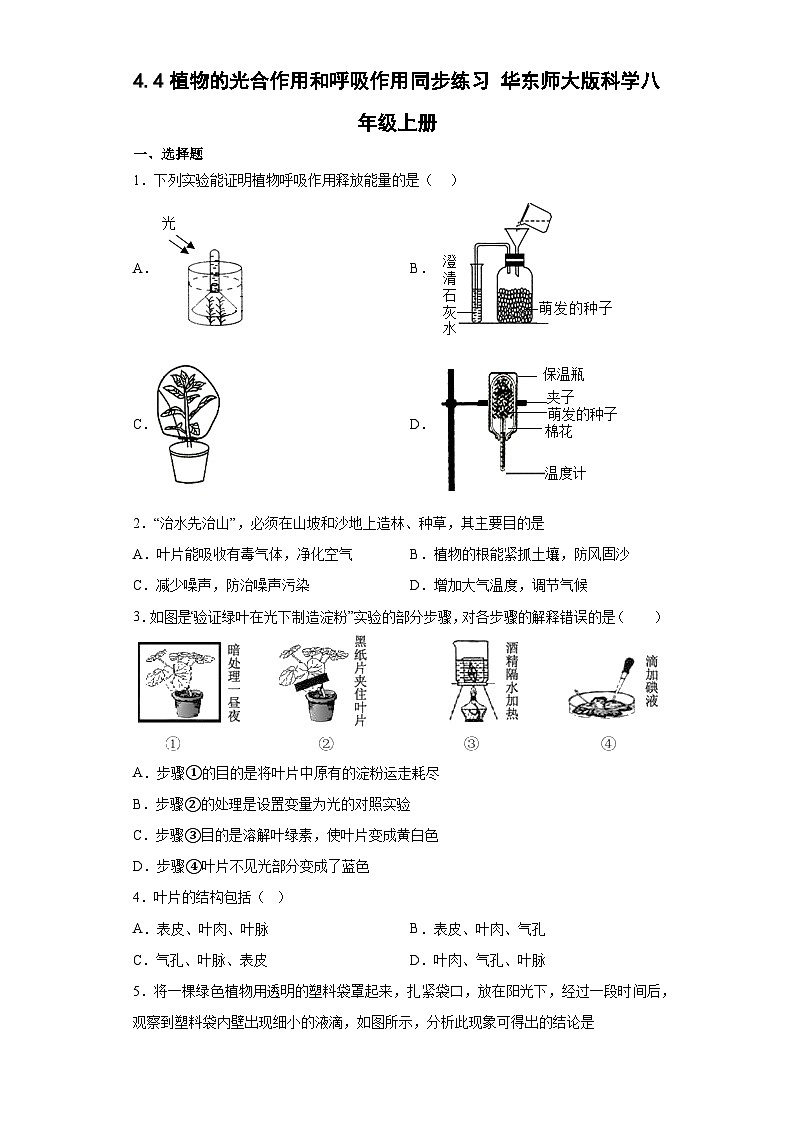 4.4植物的光合作用和呼吸作用同步练习   华东师大版科学八年级上册第1页