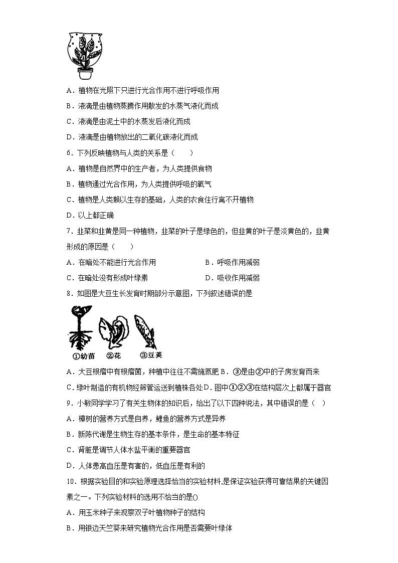 4.4植物的光合作用和呼吸作用同步练习   华东师大版科学八年级上册第2页