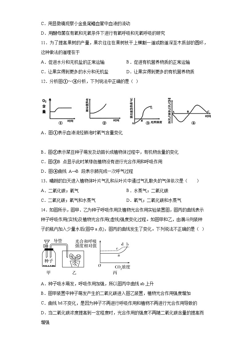 4.4植物的光合作用和呼吸作用同步练习   华东师大版科学八年级上册第3页