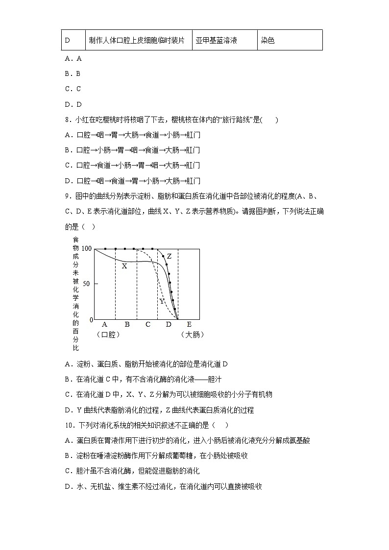 5.1 食物的消化和吸收 同步练习 ——华东师大版科学八年级上册03