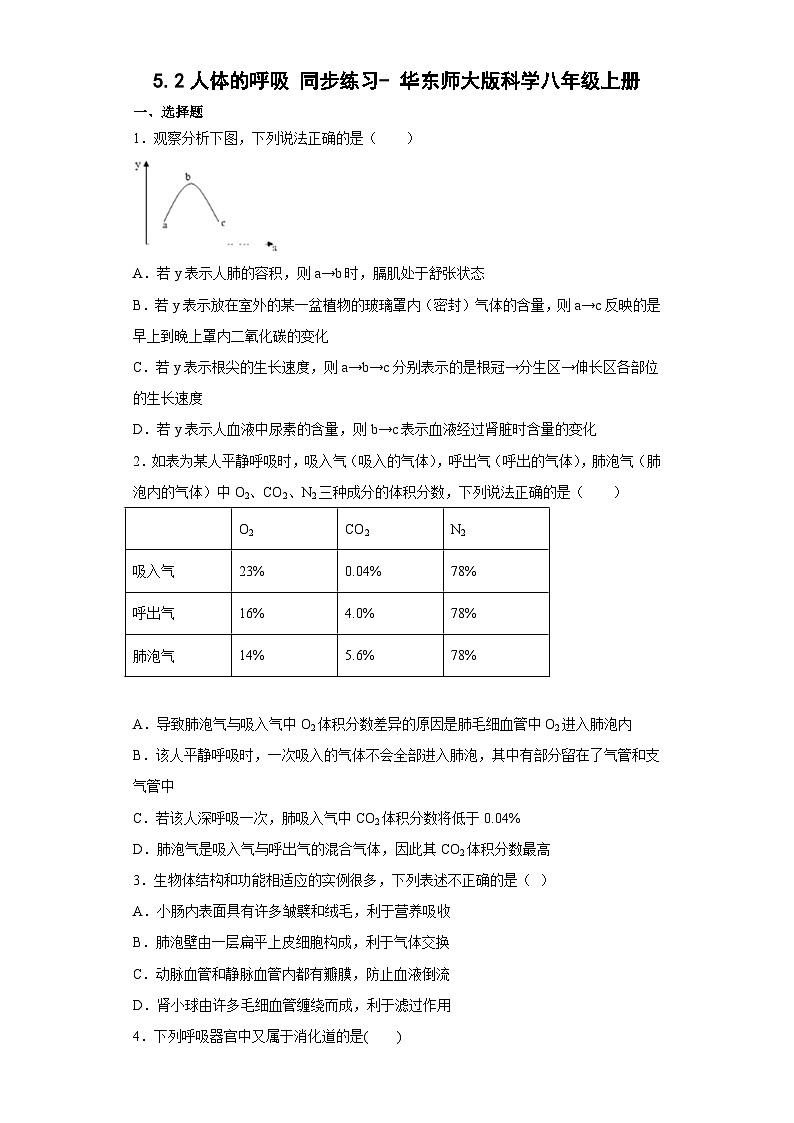 5.2人体的呼吸同步练习——华东师大版科学八年级上册01