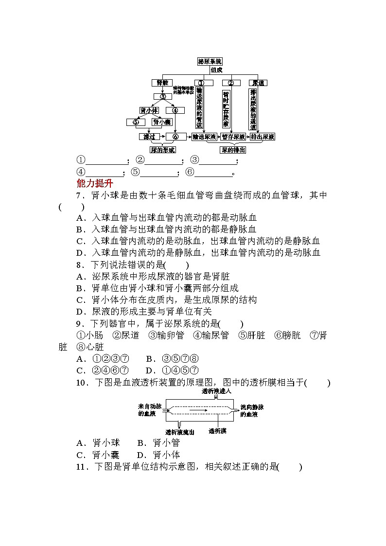 5.4　人体的排泄   强化训练— 华东师大版科学八年级上册第2页