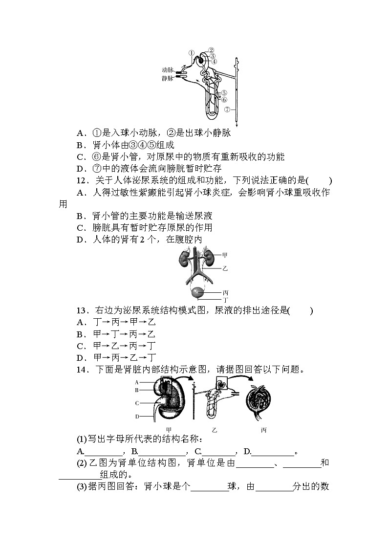 5.4　人体的排泄   强化训练— 华东师大版科学八年级上册第3页