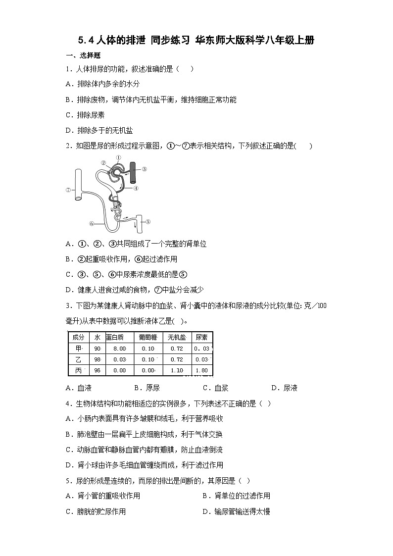5.4人体的排泄同步练习——华东师大版科学 八年级上册01