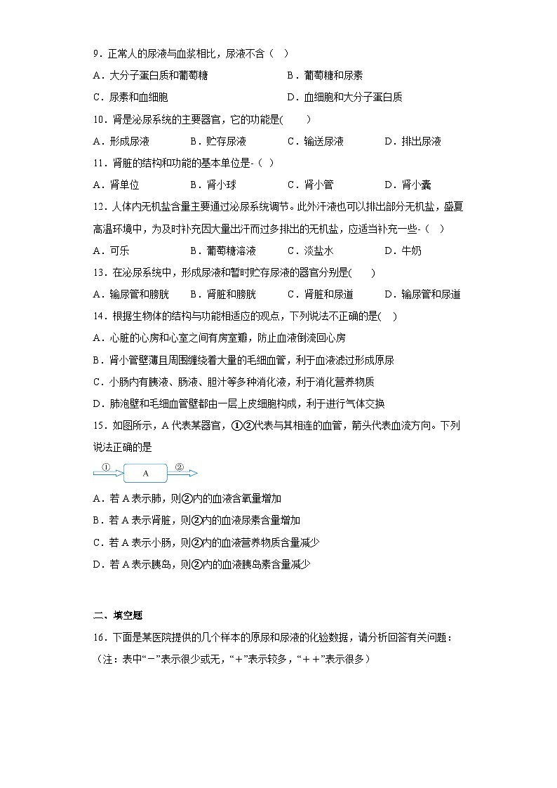 5.4人体的排泄同步练习——华东师大版科学 八年级上册03
