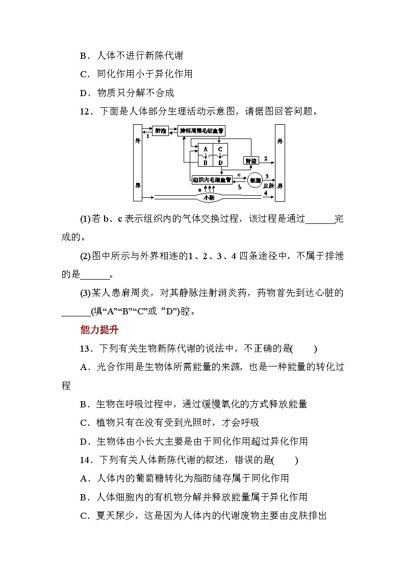 5.5　人体生命活动过程中物质和能量的转化   强化训练— 华东师大版科学八年级上册03