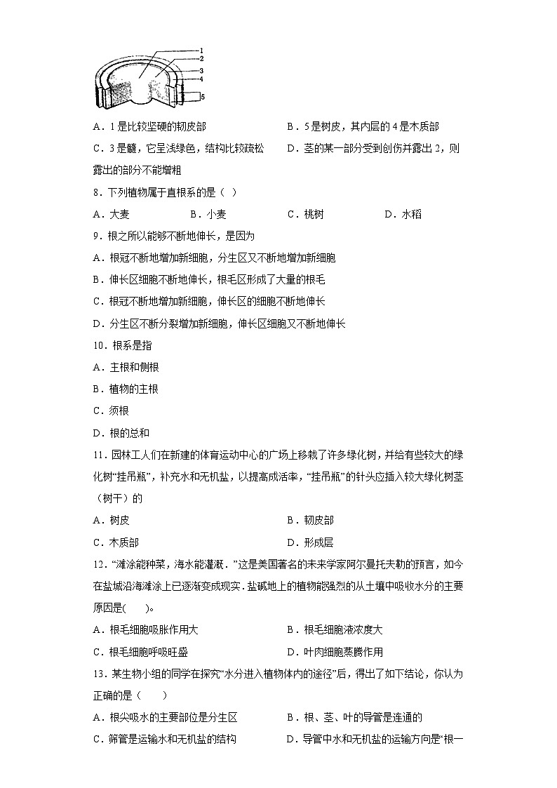 4.3无机盐在植物体内的代谢 同步练习—华东师大版科学八年级上册第2页