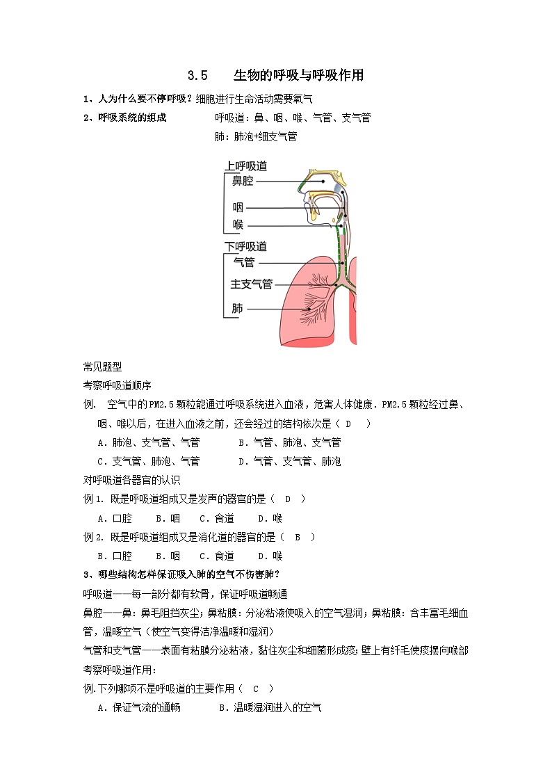 3.5生物的呼吸与呼吸作用j讲义     浙教版科学八年级下册01