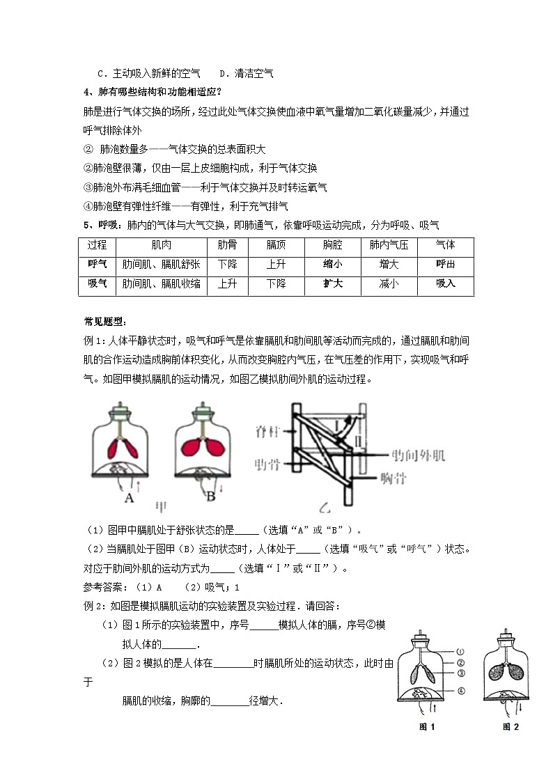 3.5生物的呼吸与呼吸作用j讲义     浙教版科学八年级下册02