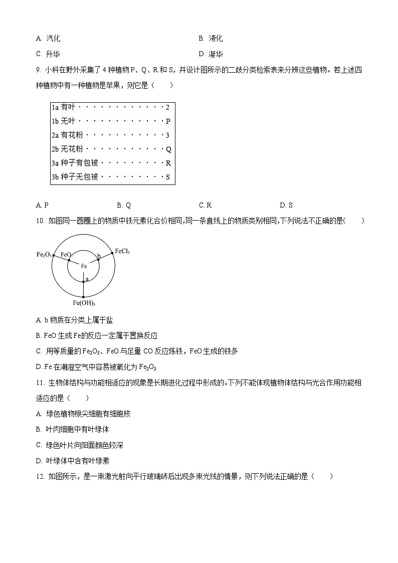 2024年浙江省杭州市西湖区中考三模科学试题（原卷版）第3页