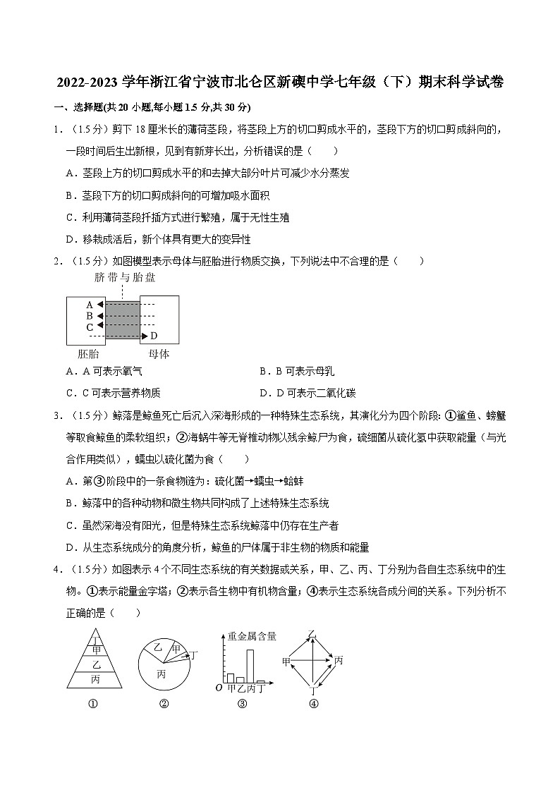 2022-2023学年浙江省宁波市北仑区新碶中学七年级（下）期末科学试卷01