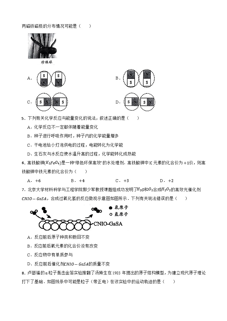 浙江省温州市苍南县2023—-2024学年八年级下学期科学期末教学诊断性测试试题02