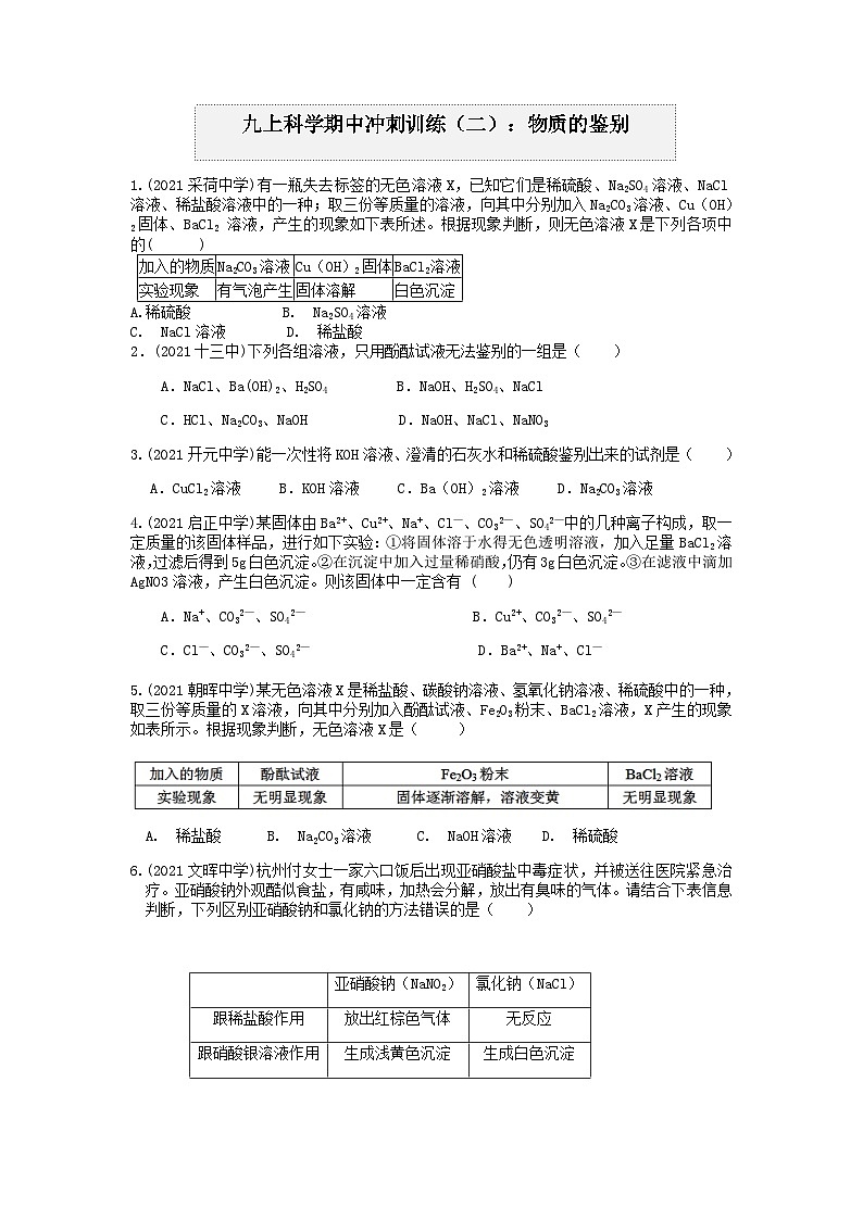 物质的鉴别 浙教版上学期九年级科学“期中冲刺”核心考点训练（二）01